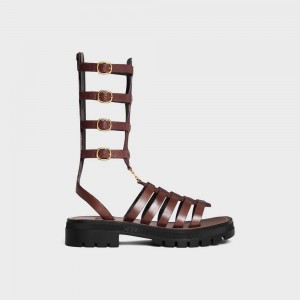 Celine Clea Triomphe Gladiator Mid In Calfskin & Vegetal Tanning Sandalen Donkerbruin | CL-592576
