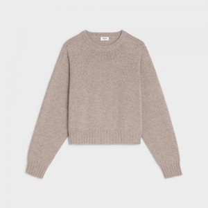 Celine Crew Neck In Seamless Cashmere Gebreide Kleding Bruin | CL-592708