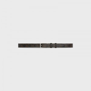 Celine Medium In Triomphe Canvas Riemen Bruin | CL-591776